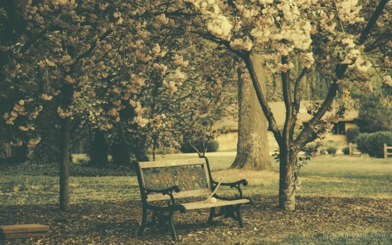 Hafıza Silinince İnsan Aynı Yerde Kalır mı?