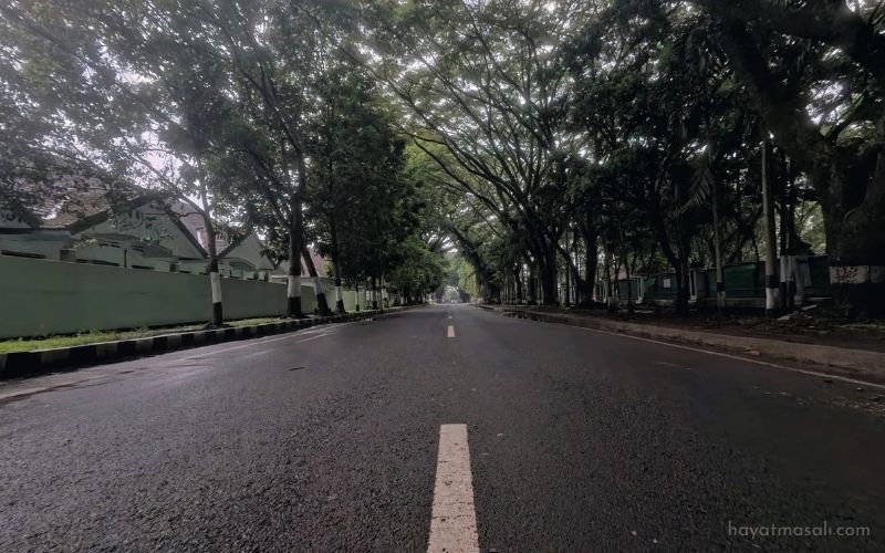 Yola Güven Azalınca İnsan Sapakları Fark Etmez