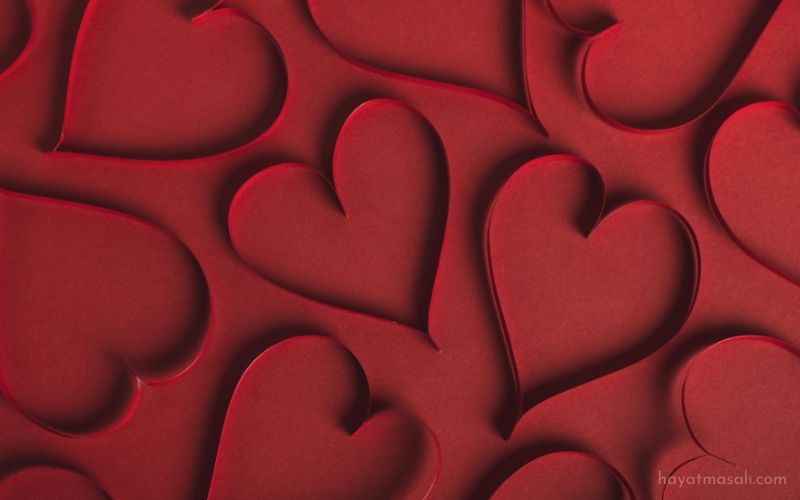 sevgililer-gunu-kutlama