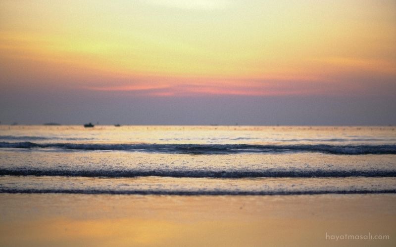 Tutulmayan Sözlerin Gölgesinde: Özlememiş Olmayı İsterdim