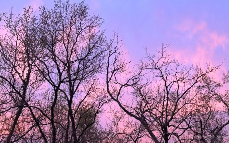 Umut Neden Hep İnce Bir Dilim, Pişmanlık Neden Bu Kadar Ağır