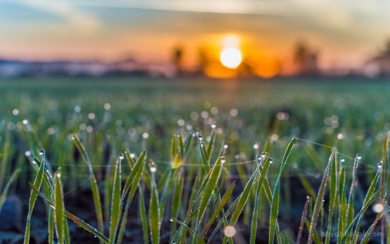 Yarın Bayram Yağmur Müzik ve İçimizde Kalanlar