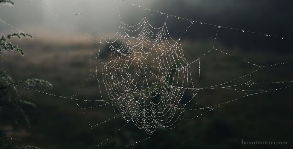 Korkular Yumağı ve Hayat