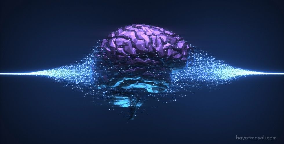 Sistem Tanımlarının Dışında Kalan Zekalar
